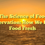 ﻿The Science of Food Preservation: How We Keep Food Fresh