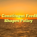 How Constituent Feedback Shapes Policy