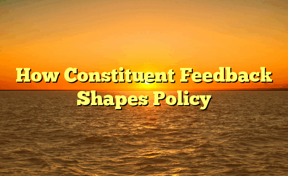 How Constituent Feedback Shapes Policy