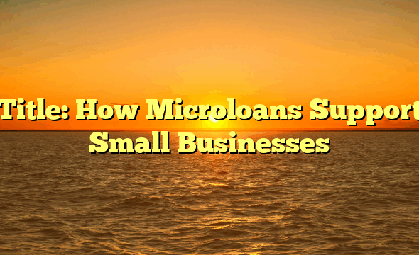 Title: How Microloans Support Small Businesses